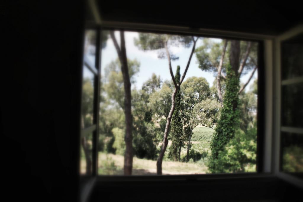 Agriturismo Tenuta La Muratella Понте Галерия Екстериор снимка